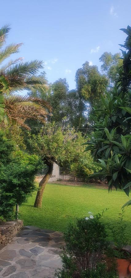 Villa Canu Alghero Kültér fotó